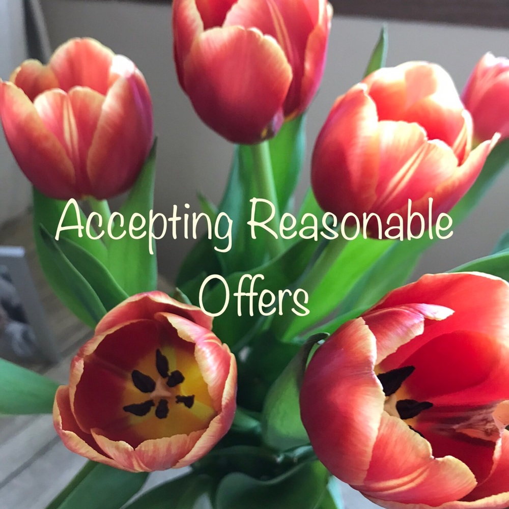 Accepting Reasonable Offers